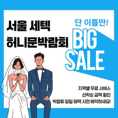 서울 세텍 허니문박람회 6월 13일(토) ~ 6월 13일(토)