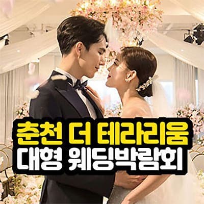 춘천 더 테라리움 웨딩박람회